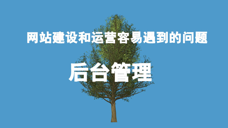 網(wǎng)站建設(shè)和運營容易遇到哪些問題